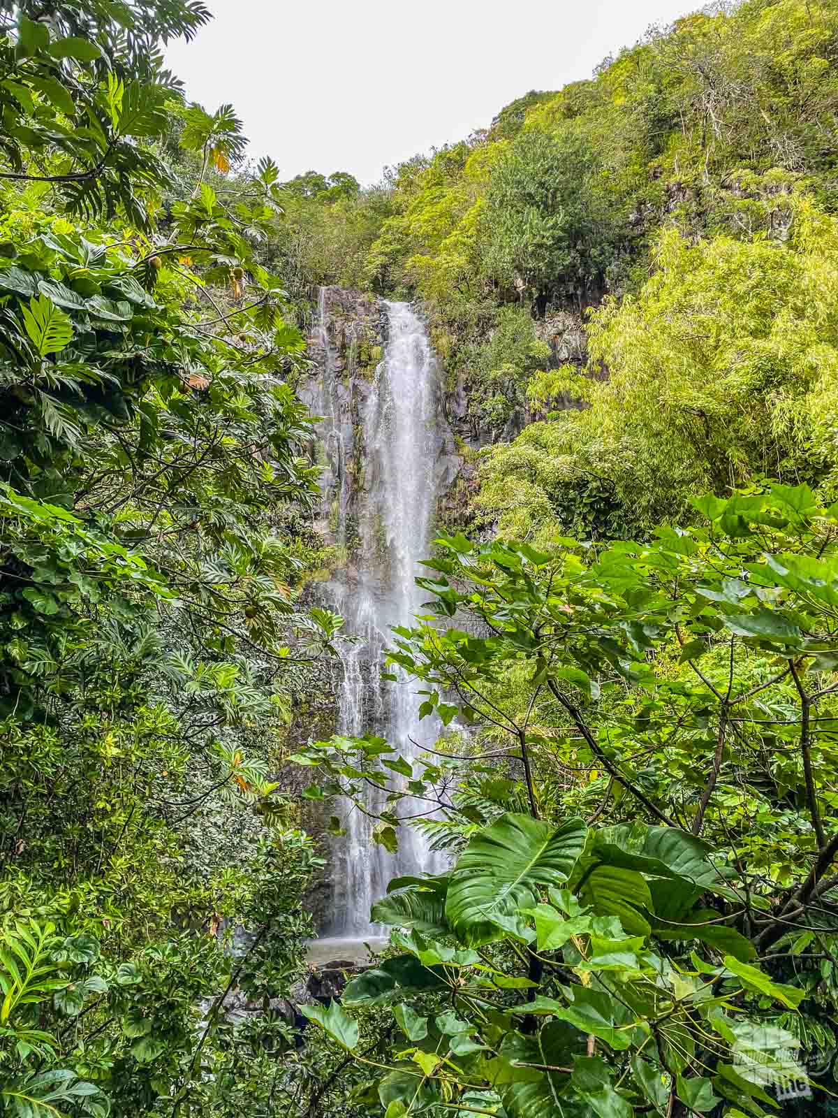 Wailua Falls along the road to Hana.